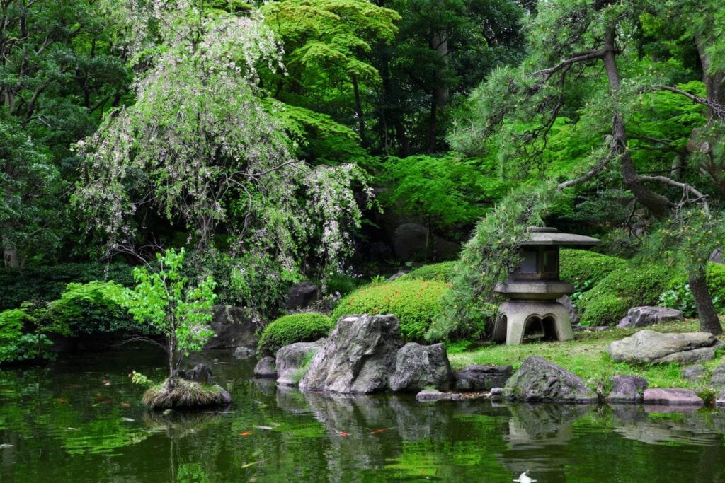Japanse stijl mos tuin en vijver